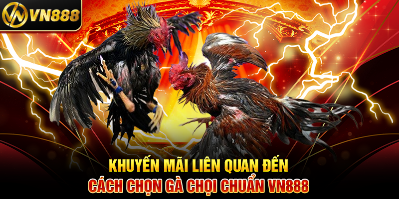 Các Loại Kèo Đá Gà VN888 Hướng Dẫn Cá Cược Hiệu Quả 4 Khuyến Mãi Liên Quan Đến Các Loại Kèo Đá Gà Hot VN888