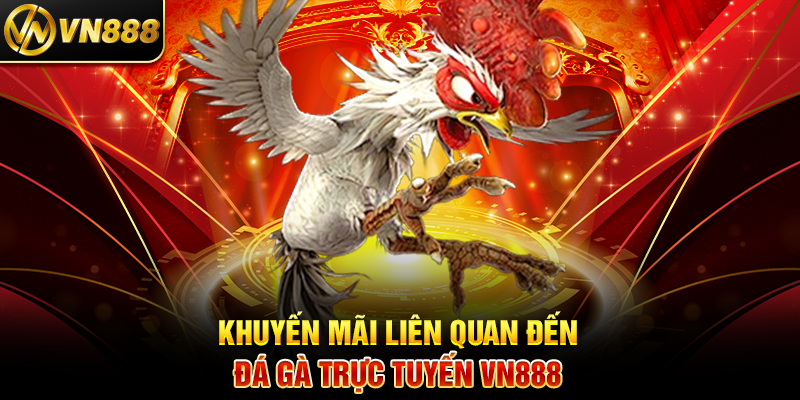 Đá Gà Trực Tuyến VN888: Sân Chơi Cá Cược Đỉnh Cao Mọi Lúc 4 Khuyến Mãi Liên Quan Đến Đá Gà Trực Tuyến VN888