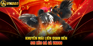 Khuyến Mãi Liên Quan Đến Soi Kèo Đá Gà VN888