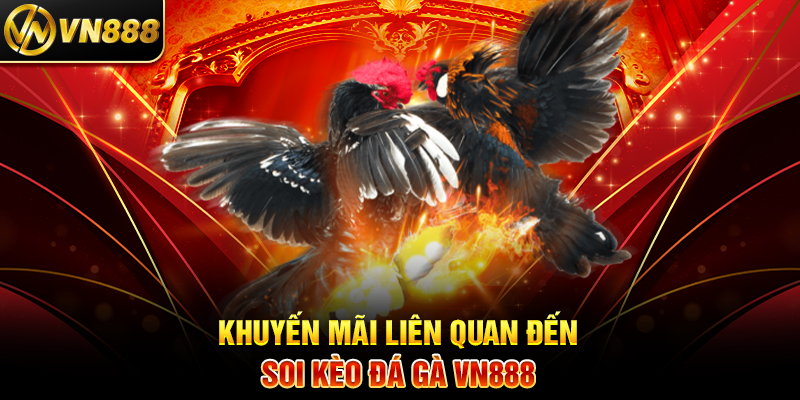Soi Kèo Đá Gà VN888: Mẹo Hay Để Thắng Cược Dễ Dàng 2 Khuyến Mãi Liên Quan Đến Soi Kèo Đá Gà VN888