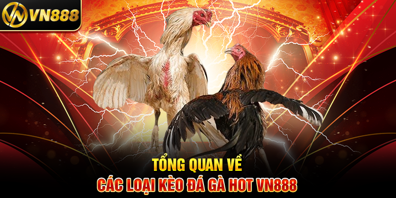 Cách Chọn Gà Chọi VN888 Bí Kíp Cá Cược Chuẩn Xác Nhất 5 Tổng Quan Về Cách Chọn Gà Chọi Chuẩn VN888
