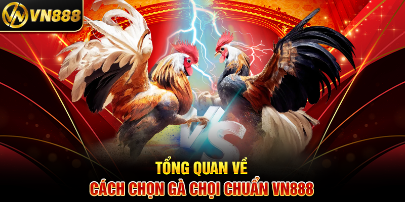 Các Loại Kèo Đá Gà VN888 Hướng Dẫn Cá Cược Hiệu Quả 4 Tổng Quan Về Các Loại Kèo Đá Gà Hot VN888