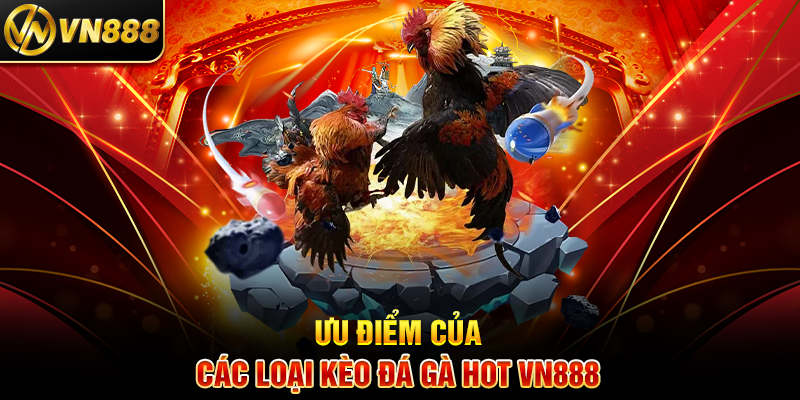 Cách Chọn Gà Chọi VN888 Bí Kíp Cá Cược Chuẩn Xác Nhất 3 Ưu Điểm Của Cách Chọn Gà Chọi Chuẩn VN888